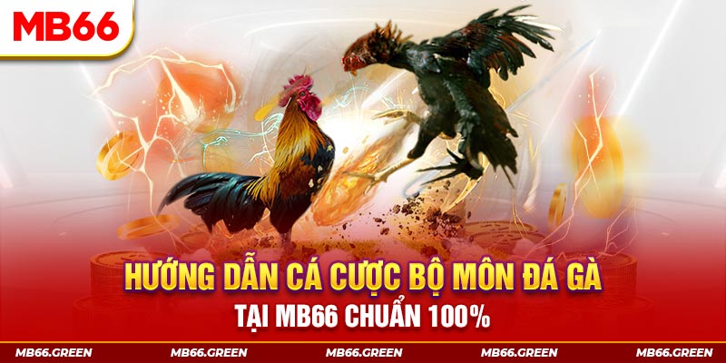 777bet chơi baccarat là gì