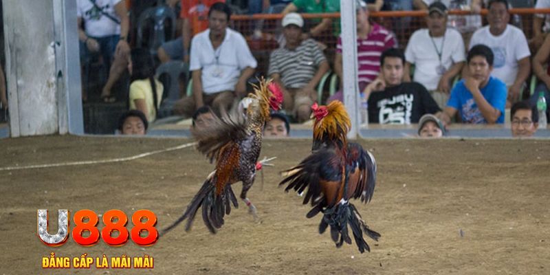 777bet đăng nhập mậu binh khuyến mãi