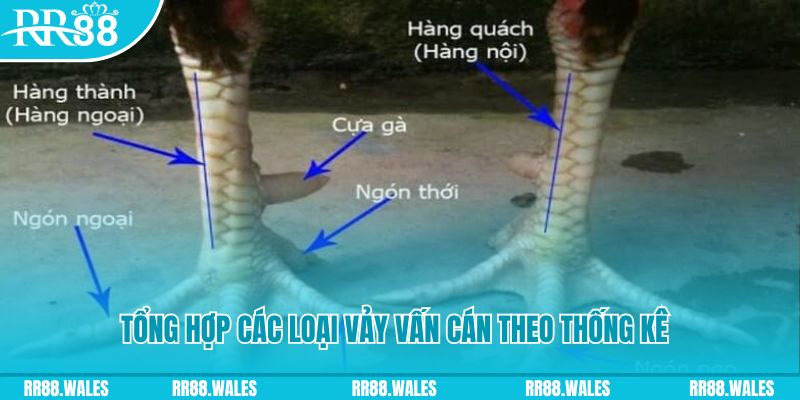 777bet HB Điện Tử