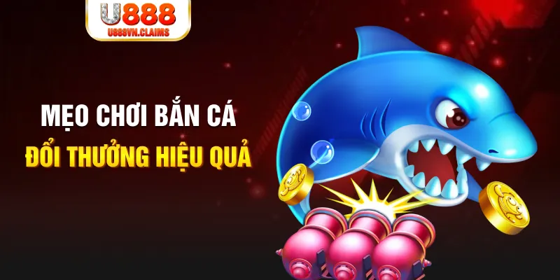 777bet gà chọi cam ranh