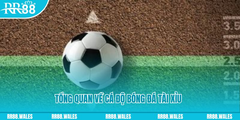 777bet đăng nhập roulette online