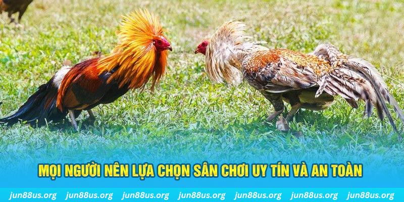 777bet Cỡ bảy