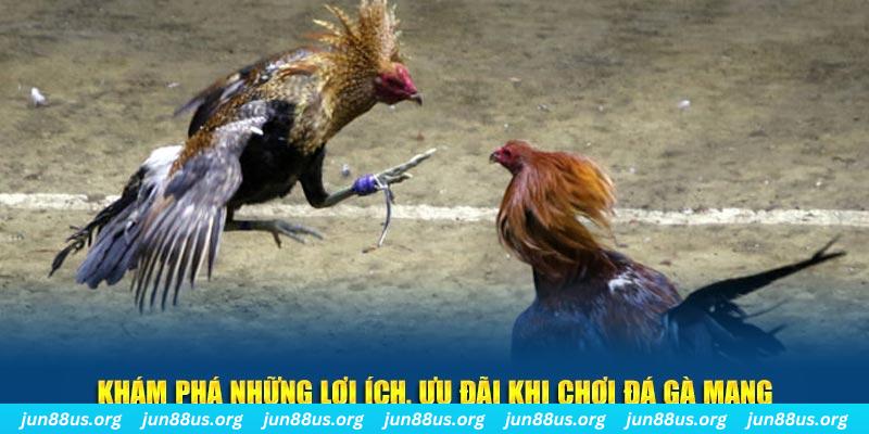 777bet đăng nhập liêng live