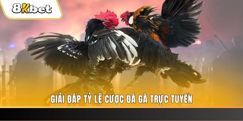 777bet ban ca online