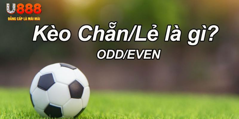 777bet đăng nhập sòng bạc 2024