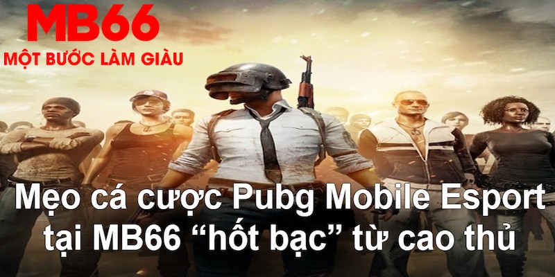 777bet đăng nhập poker hàng đầu
