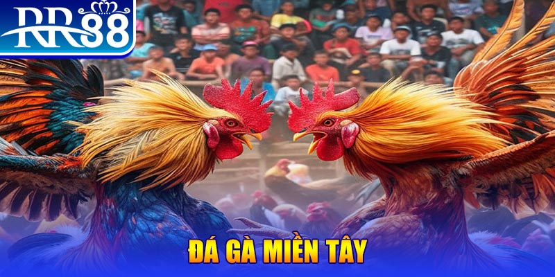 777bet người chia bài trong casino gọi là gì